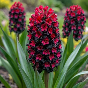 Гиацинт Джем Стоун купить по цене от 2099р. в интернет-магазине «Посадика» с доставкой почтой в в Нытвае и по всей России – [изображение №1].