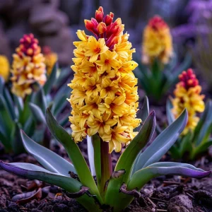 Гиацинт Миднайт Мистери купить по цене от 2099р. в интернет-магазине «Посадика» с доставкой почтой в в Нытвае и по всей России – [изображение №1].